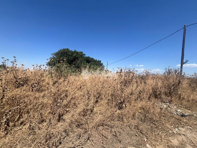 Foto 675e2680-a92c-4be0-860b-fc28a8523b57. Finca rústica a Purchil Vegas del Genil