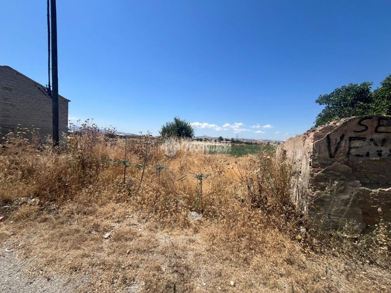 Foto f1c1a5a1-f32b-4bb4-acf4-6aaad3950cec. Finca rústica a Purchil Vegas del Genil