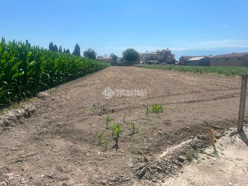 Foto 70c883af-1f5f-41ff-8f2f-77e9a1ea8315. Finca rústica a Purchil Vegas del Genil