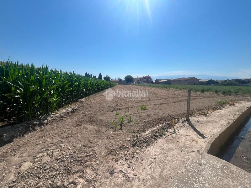Foto 7a3e5601-9bfd-4c90-93c8-f7930e87a094. Finca rústica a Purchil Vegas del Genil