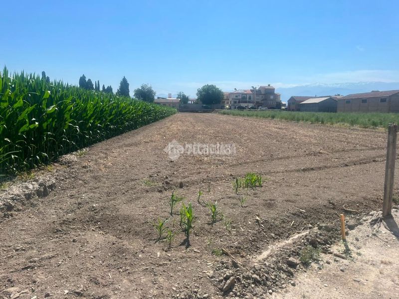 Foto a5ad7faf-a496-41b9-908e-a7d905cf3ebe. Finca rústica a Purchil Vegas del Genil