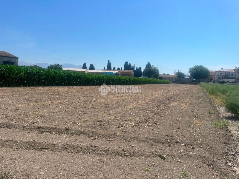 Foto c93cca06-9321-4df7-8af4-f7f906ed5a72. Finca rústica a Purchil Vegas del Genil