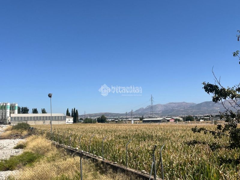 Foto 422f326d-648e-45e9-afae-4635d49ca0b1. Finca rústica a Belicena Vegas del Genil