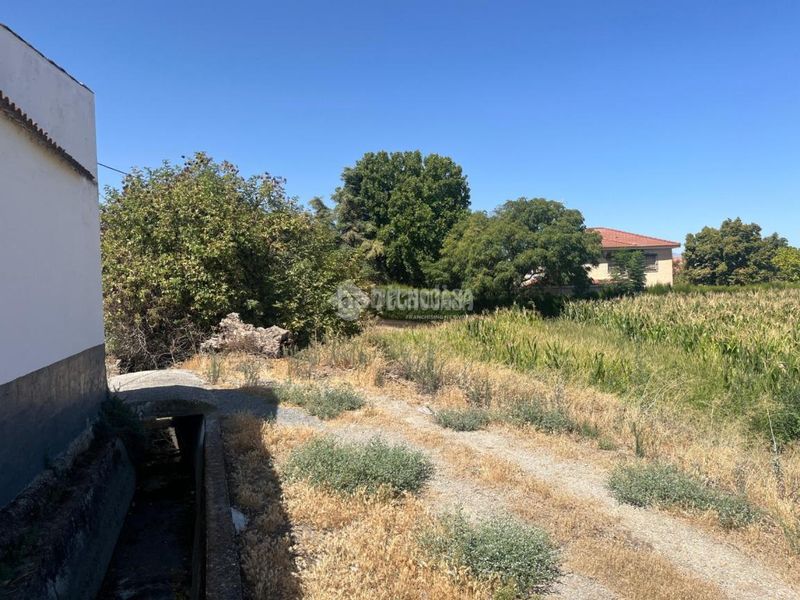 Foto fe5c4950-a11b-4f10-898e-f12ada367131. Finca rústica a Belicena Vegas del Genil