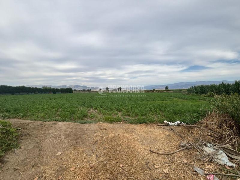 Foto 3323654d-09c0-42a6-a1da-867372e76532. Fondo rustico in Belicena Vegas del Genil