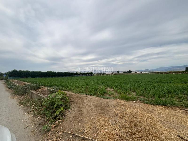 Foto aa064278-1119-4f78-89cc-e1526428cf1e. Fondo rustico in Belicena Vegas del Genil