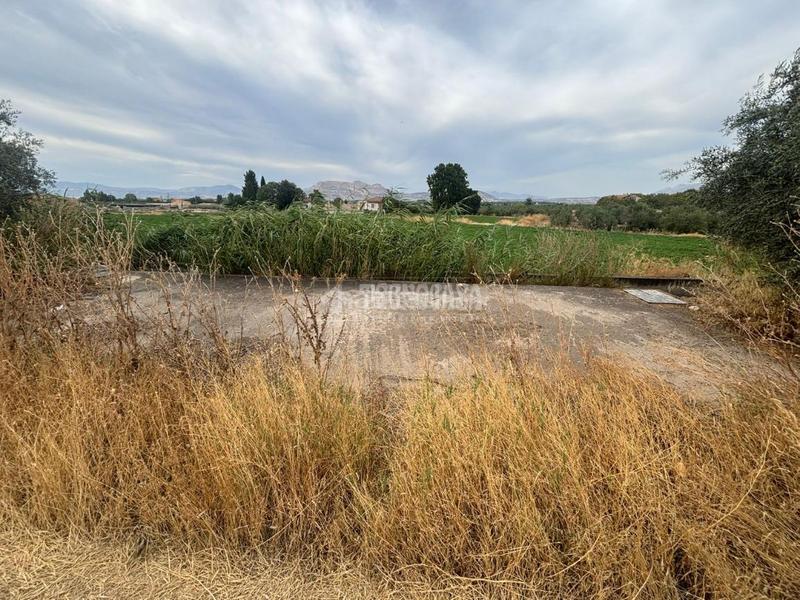 Foto ba26c0c9-4791-4ed3-b96c-8569b157e35b. Fondo rustico in Belicena Vegas del Genil