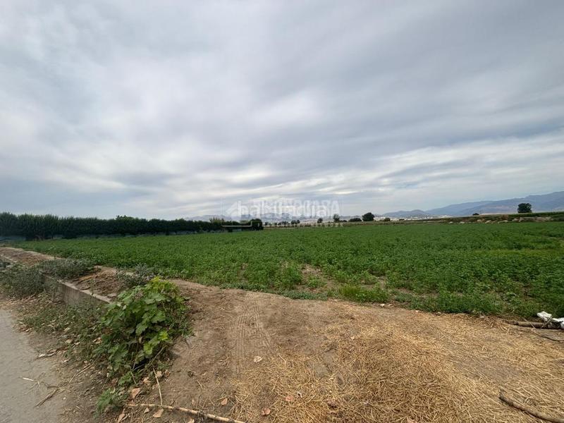 Foto d0dc70dc-796e-4eb3-8afa-56dba410f278. Fondo rustico in Belicena Vegas del Genil