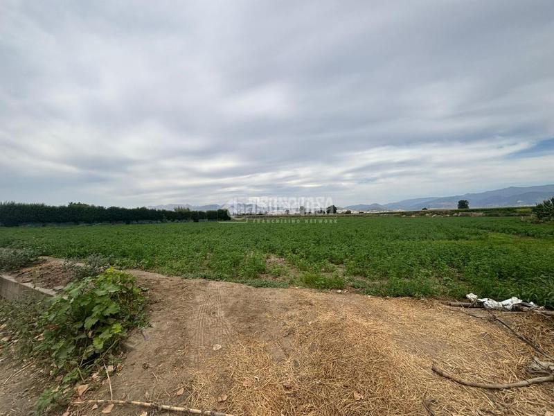 Foto e54e7913-0f6e-41ba-b5ff-8cd476af8816. Fondo rustico in Belicena Vegas del Genil