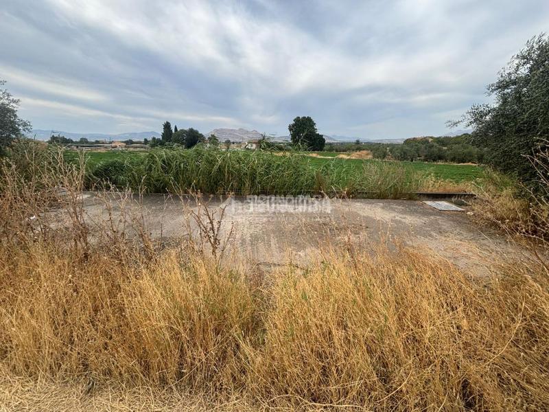 Foto ea76e29f-29bd-4201-9004-745d4988cbec. Fondo rustico in Belicena Vegas del Genil