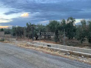 Landgut in Belicena. Terrenos en venta en vegas del genil