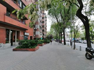 Pis a C. de Carmen Cobeña