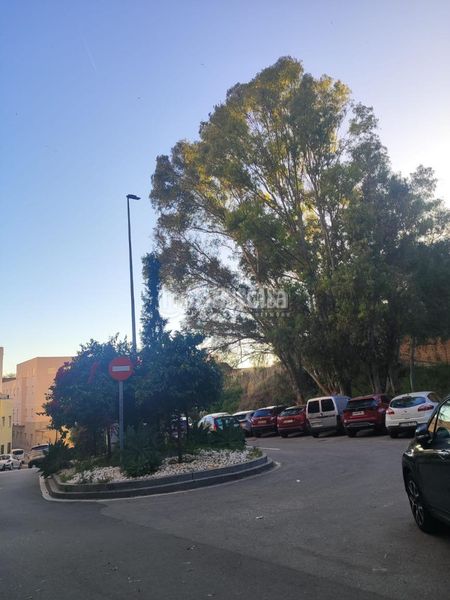 Foto 32663175-8624-41fc-9778-762963503b99. Pis a Conde de Ureña Málaga