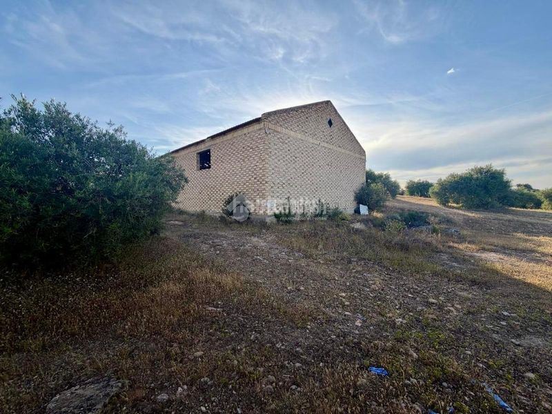Foto 580c9f5e-e36f-41f7-a6ef-864ba77fa709. Finca rústica a Puente Genil