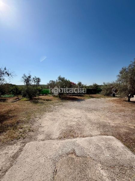 Foto 6252db61-f477-462b-b3c7-cc7fe0640ad0. Finca rústica a Puente Genil