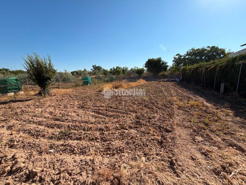 Foto 06ad4d87-3710-4587-b604-a75d68f118b0. Finca rústica a Puente Genil