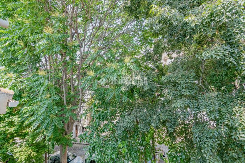 Foto f0351777-0042-493e-bbcb-e17e2bfe3adf. Casa  en venta en San Ildefonso Granada