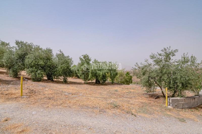 Foto 2c5793ef-1954-440c-b1ce-455d78d11ef6. Finca rústica terrenos en venta en Fargue Granada
