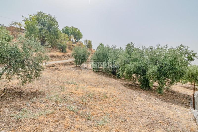 Foto 45dc2b6e-1b03-4eb0-bc62-be5da6cb33b1. Finca rústica terrenos en venta en Fargue Granada