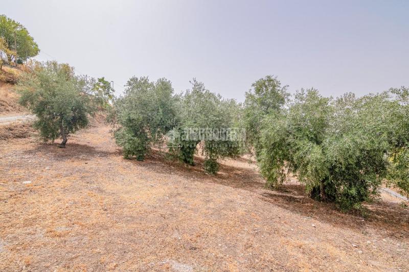 Foto 4a9d7845-88d4-41be-a1a0-01252a41d05d. Finca rústica terrenos en venta en Fargue Granada