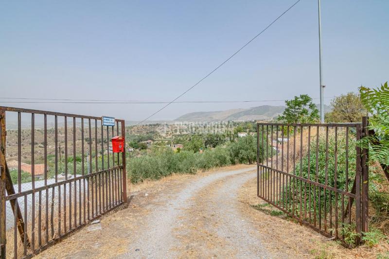 Foto 5e221eb4-0e86-47b2-a594-2ef9b1bf87b6. Finca rústica terrenos en venta en Fargue Granada