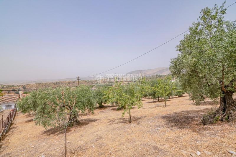 Foto 6cb7eb27-e9b1-45ff-9f7f-0e17ede998bf. Finca rústica terrenos en venta en Fargue Granada