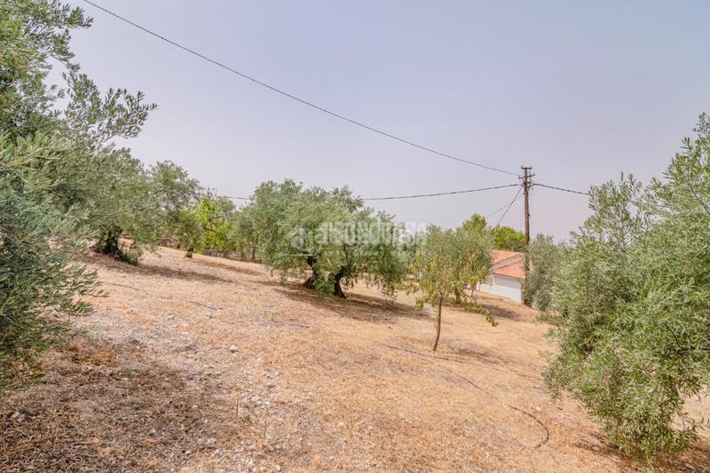 Foto 6cecb672-18c4-44df-a325-3daa9ceec78c. Finca rústica terrenos en venta en Fargue Granada