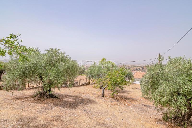 Foto 6e893429-5be1-48cd-9ed1-078a79d9bbcf. Finca rústica terrenos en venta en Fargue Granada