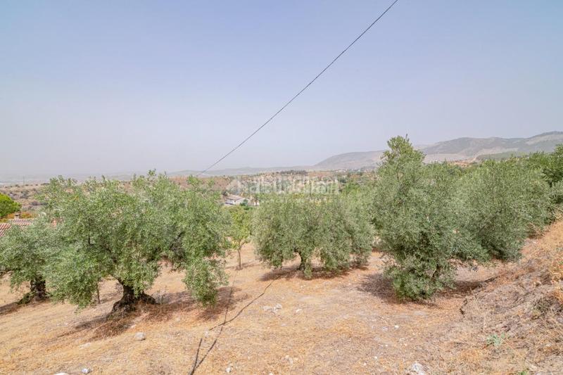 Foto 75800c5d-56a5-4d0e-b359-66847a418008. Finca rústica terrenos en venta en Fargue Granada