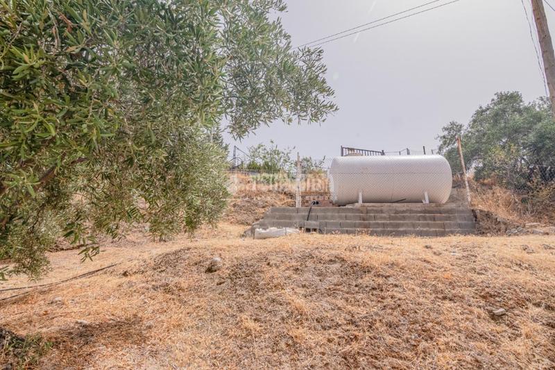 Foto 7cd754e9-8b55-47c4-b797-576211fbb8b5. Finca rústica terrenos en venta en Fargue Granada
