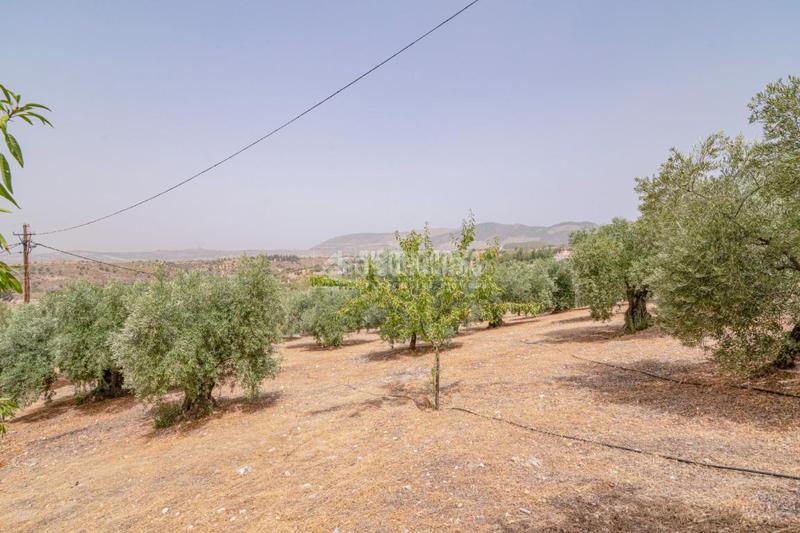 Foto b385a738-d149-40cd-8299-228244983940. Finca rústica terrenos en venta en Fargue Granada