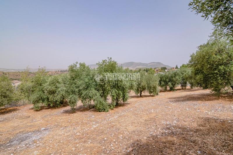 Foto baacc760-774a-4659-b3d8-f4b3f80cfb68. Finca rústica terrenos en venta en Fargue Granada
