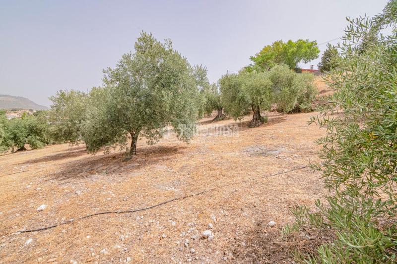 Foto f59a818c-eb77-4c33-acd9-5463cb176e10. Finca rústica terrenos en venta en Fargue Granada