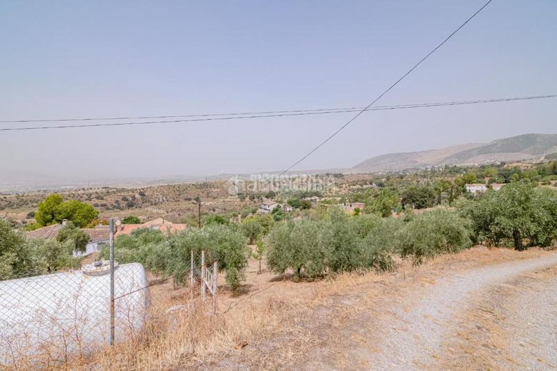 Foto fa9db97f-095a-41c8-b12e-b8e376afac2d. Finca rústica terrenos en venta en Fargue Granada