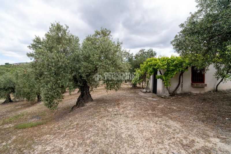 Foto 007d5293-712c-403d-ab2f-fb8195e2a99c. Finca rústica a Barrio de Albaicín Granada