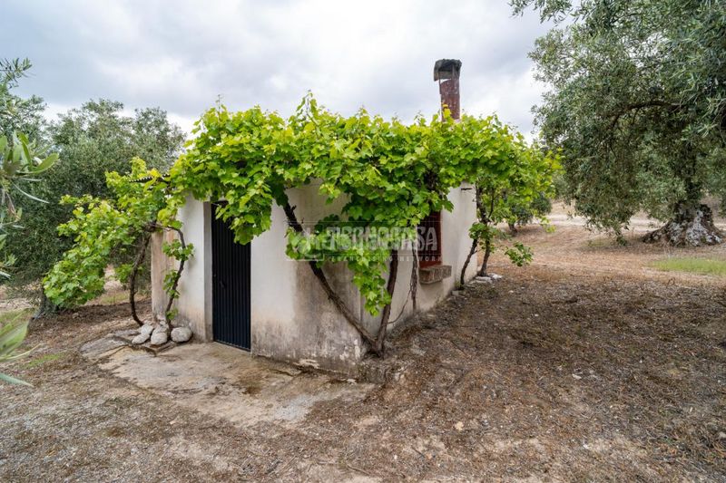 Foto 0b1e9af4-ae4c-4e5f-ba1e-6e28561255a4. Finca rústica a Barrio de Albaicín Granada