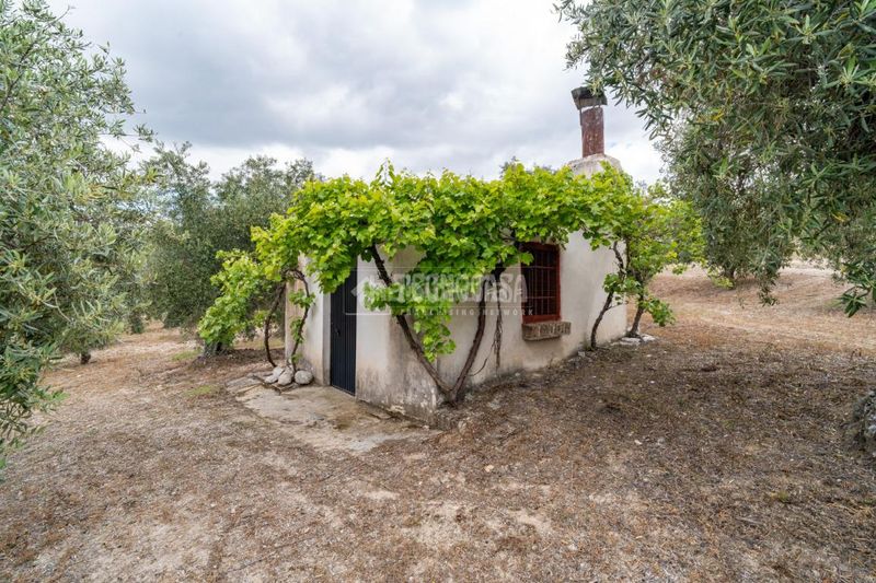 Foto 1af2d140-15e6-4e3e-9683-0827fdc1f7a0. Finca rústica a Barrio de Albaicín Granada