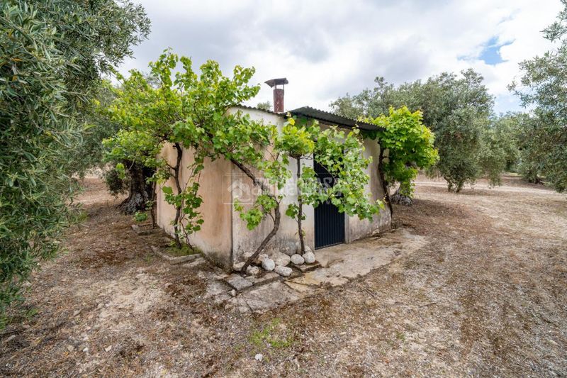 Foto 2ad7ccd9-7575-46b3-b485-257cb50518ae. Finca rústica a Barrio de Albaicín Granada