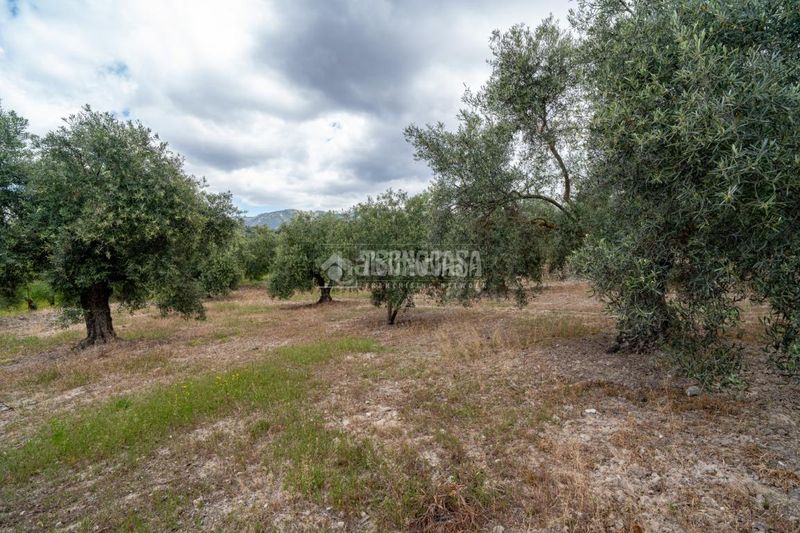 Foto 317e7ac1-4e49-4aeb-8e5d-5fa3fdc02432. Finca rústica a Barrio de Albaicín Granada