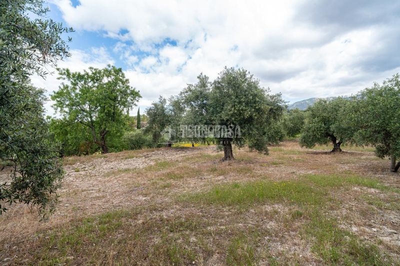 Foto 47568e48-68a7-4691-a170-6e894c008dcc. Finca rústica a Barrio de Albaicín Granada