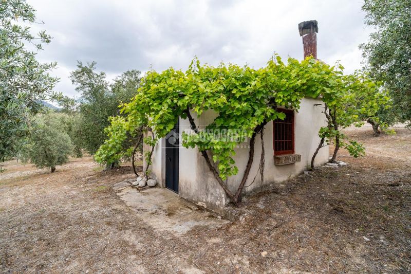Foto 47f6b0ce-c3ea-4e4c-bed1-97178bda6bd2. Finca rústica a Barrio de Albaicín Granada