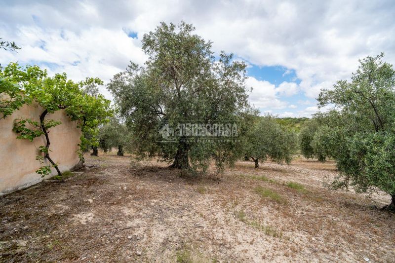 Foto 4d9c3e68-9b6e-4305-8541-de68fec183a4. Finca rústica a Barrio de Albaicín Granada