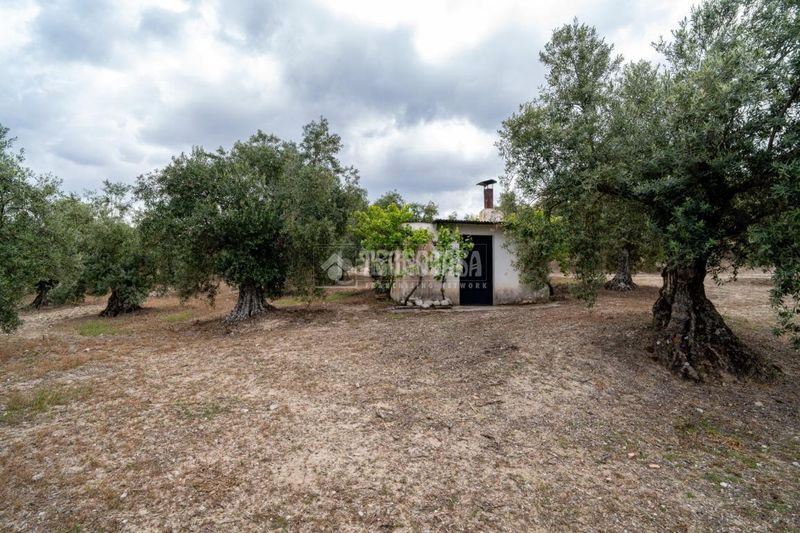 Foto 500c51e6-3013-4499-9bc0-58d042f05a4d. Finca rústica a Barrio de Albaicín Granada