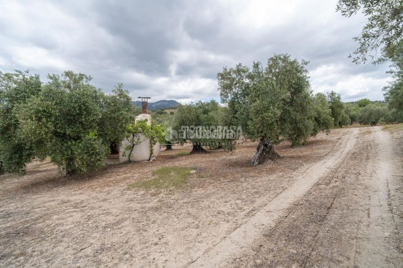 Foto 5d0c99c2-472f-49ab-8cff-61bde3e34d04. Finca rústica a Barrio de Albaicín Granada