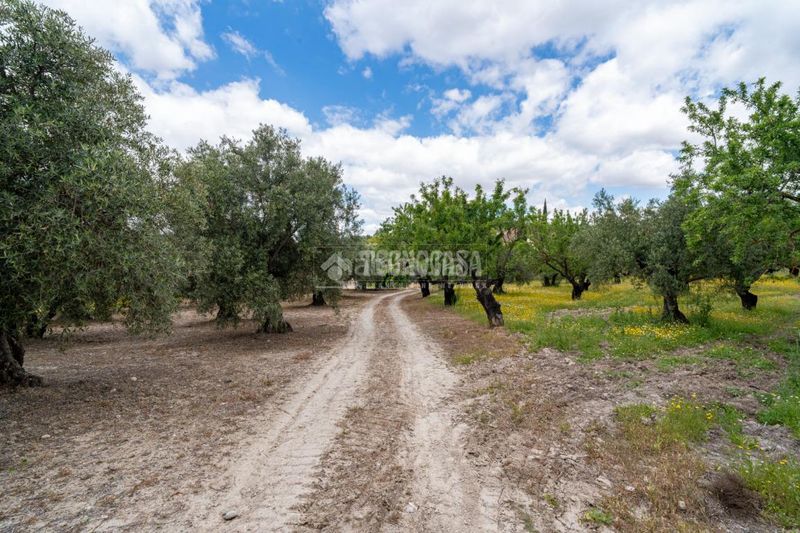 Foto 86079476-4af2-430f-82b7-861d50f0c966. Finca rústica a Barrio de Albaicín Granada