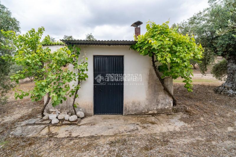 Foto 8db06677-2df1-4f08-b2c7-b31e53e60769. Finca rústica a Barrio de Albaicín Granada