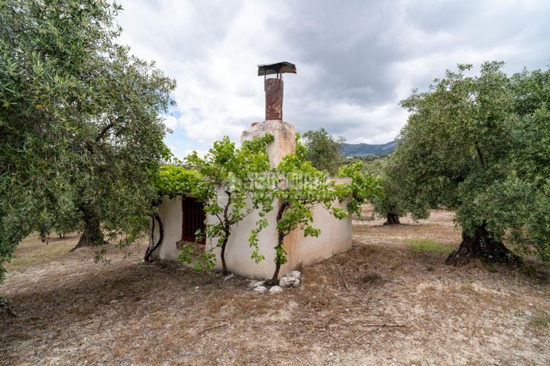Foto 9c89e4ef-c7ef-4796-a682-f9151fb25f08. Finca rústica a Barrio de Albaicín Granada