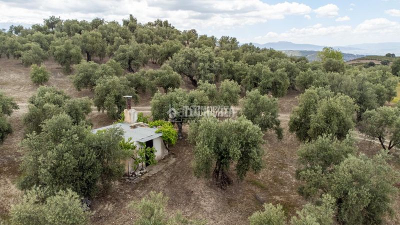 Foto a5bbf9ac-ee23-43d3-a4af-57a652282e1b. Finca rústica a Barrio de Albaicín Granada