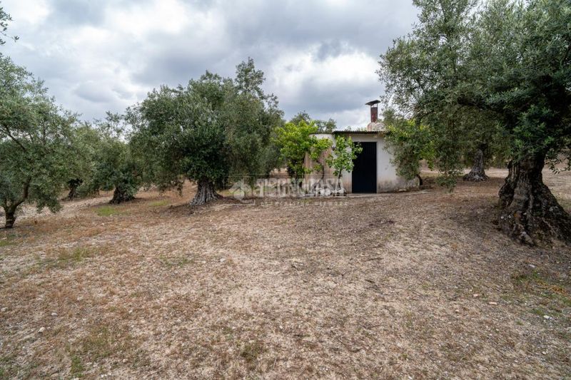 Foto bf213042-e6fb-48c7-95af-bee602faad41. Finca rústica a Barrio de Albaicín Granada