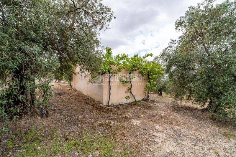 Foto cfdec642-0cd9-4e8d-b262-312f918fa73f. Finca rústica a Barrio de Albaicín Granada